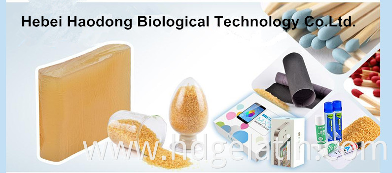 Popular hot melt manufacture animal hide glue jelly glue